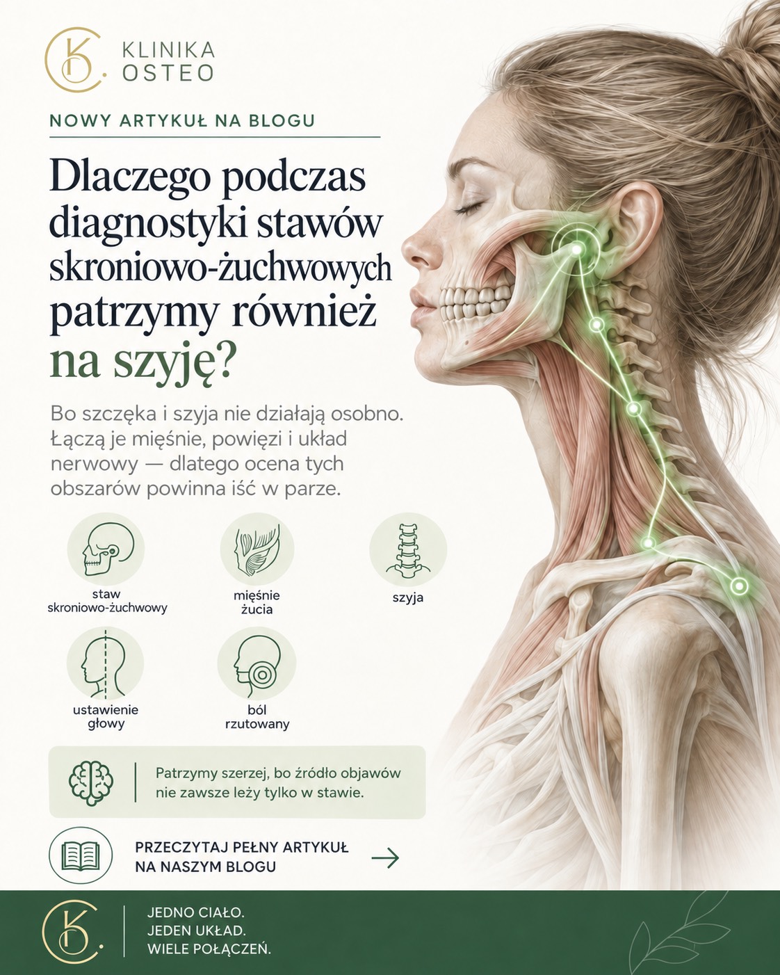 Dlaczego podczas diagnostyki stawów skroniowo-żuchwowych patrzymy również na szyję?