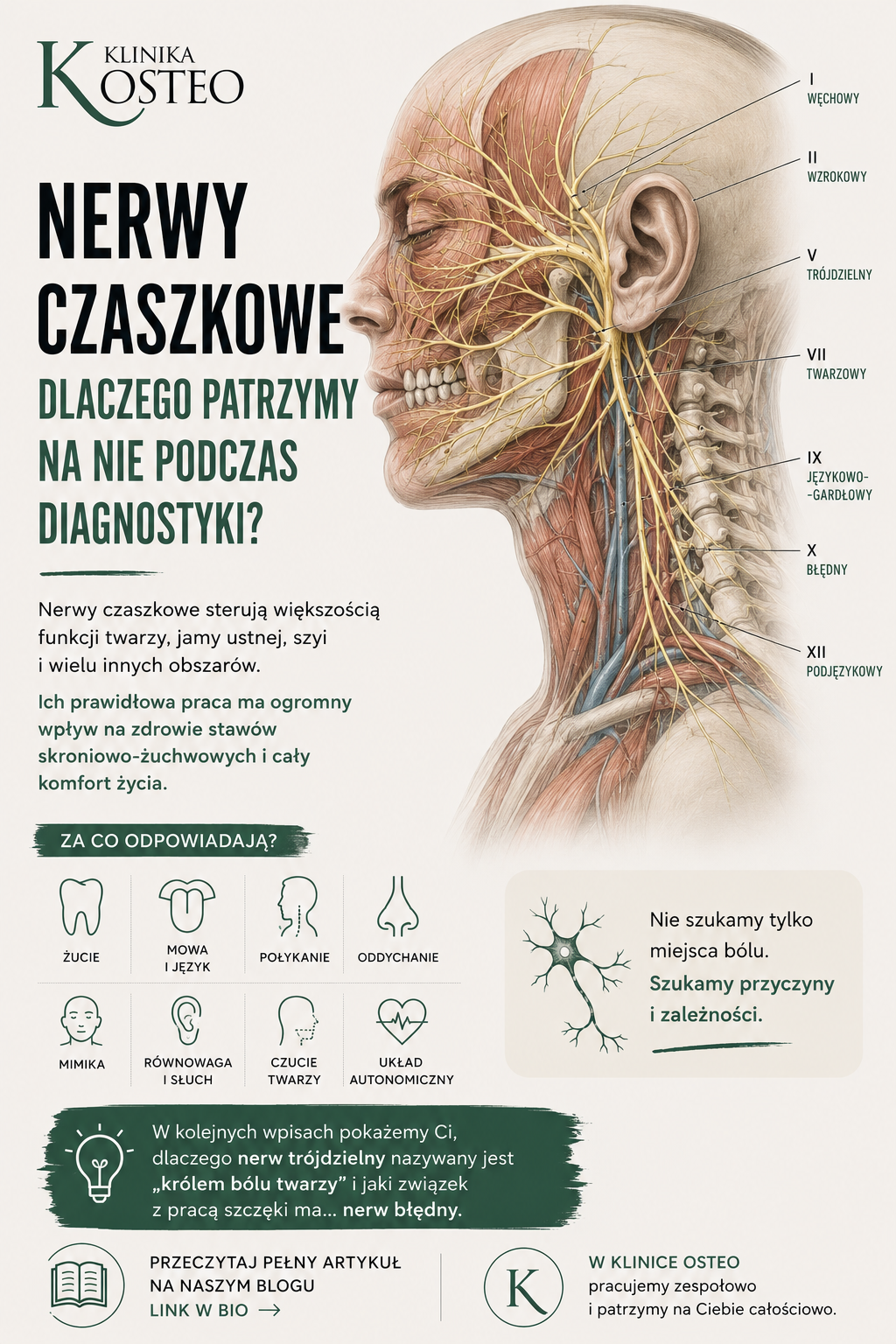 Nerwy czaszkowe